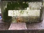 The biocide, a chemical to remove biological growth, was carefully applied in different strengths to test areas.